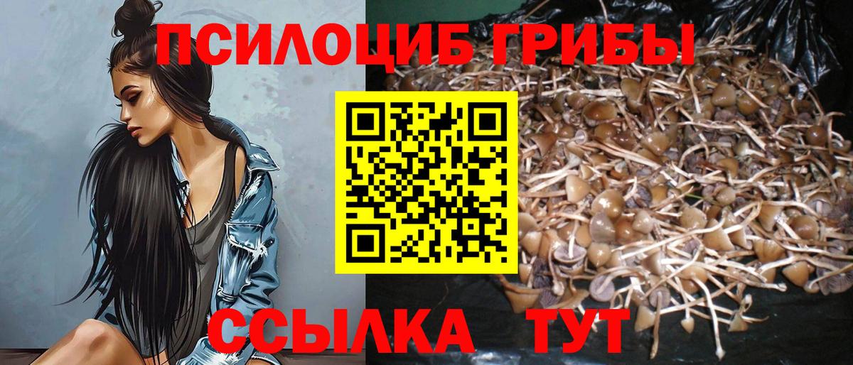 Галлюциногенные грибы Magic Shrooms  Галлюциногенные грибы GOLDEN TEACHER  Грязи  Вход с VPN 